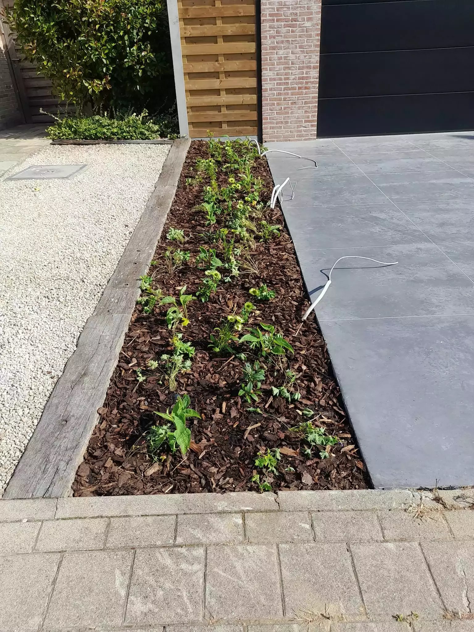 Vakkundig snoeien van hagen en bomen, ook op hoogte